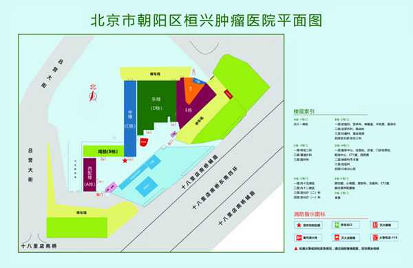 艹逼逼大鸡吧艹逼网站北京市朝阳区桓兴肿瘤医院平面图